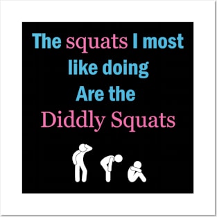 The Squats I Most Like Doing Posters and Art